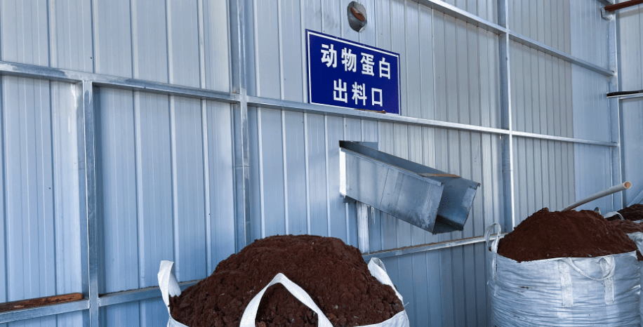 達拉特旗構建“五位一體”病死畜禽無害化處理模式，推動生物有機肥料研發保障食品與生態安全