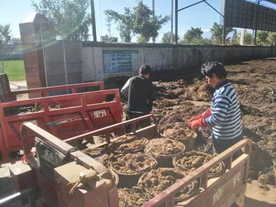 順豐洱海環保股份榮膺“云南省百戶優強民營企業”稱號，生物質能技術服務引領綠色新篇章