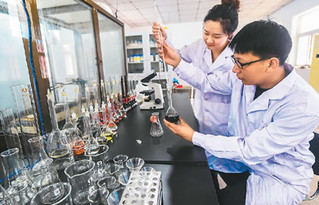 河北 新型有機肥助力農業增產，生物質能技術引領綠色未來