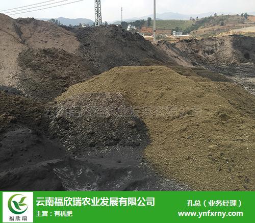 云南生物有機肥價格指南 福欣瑞農業以技術服務賦能綠色農業