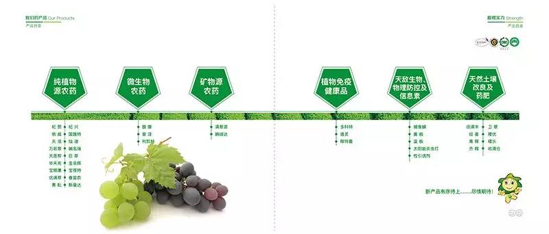 我與深圳的故事(二)| 黃榕城:以勤立身 以情處事 以商養(yǎng)會(huì)